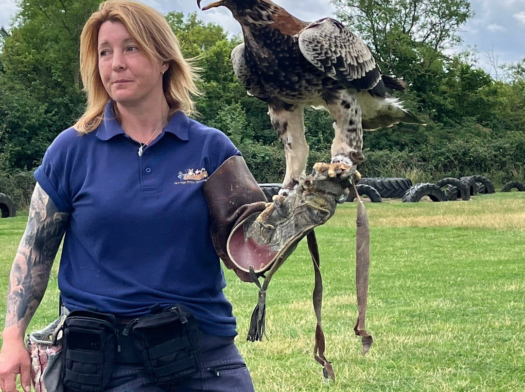 Herring Green Activity Farm-贝德福德必去景点