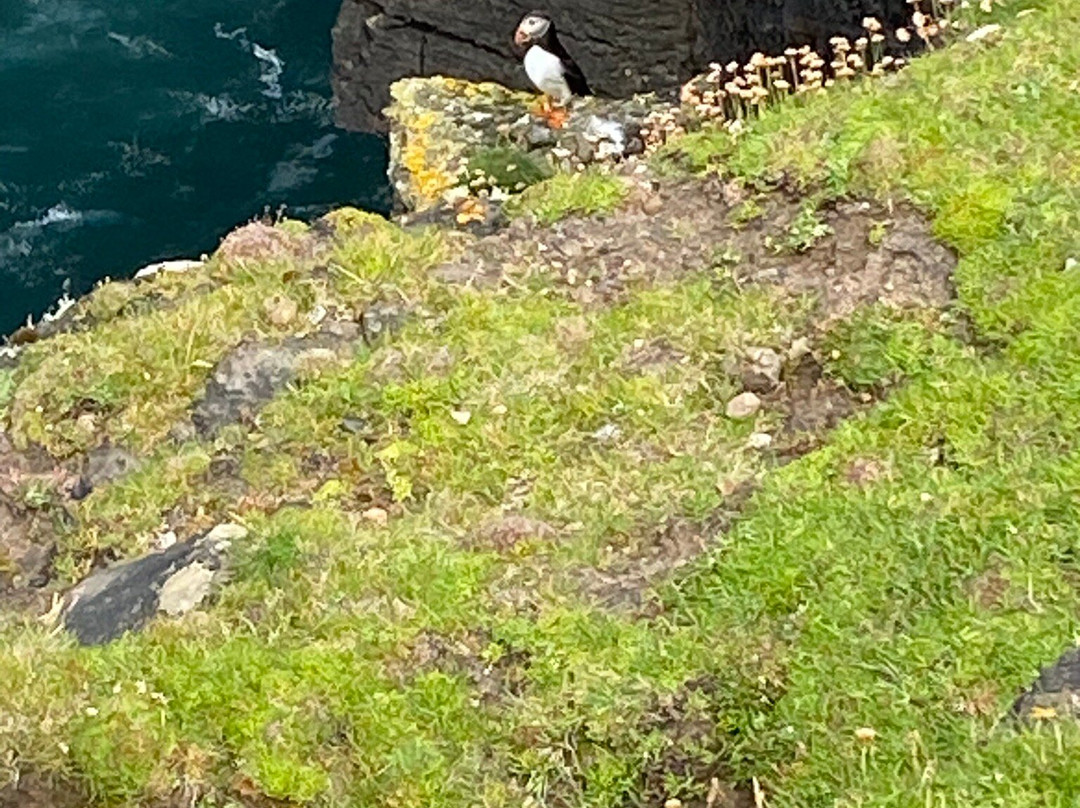 Eshaness Cliffs-West Heogaland必去景点