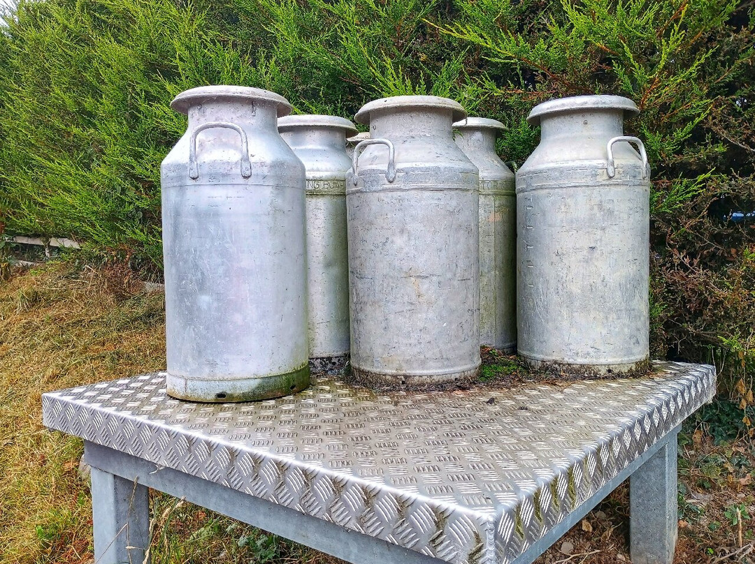 Llaeth y Llan, Village Dairy-Llannefydd必去景点