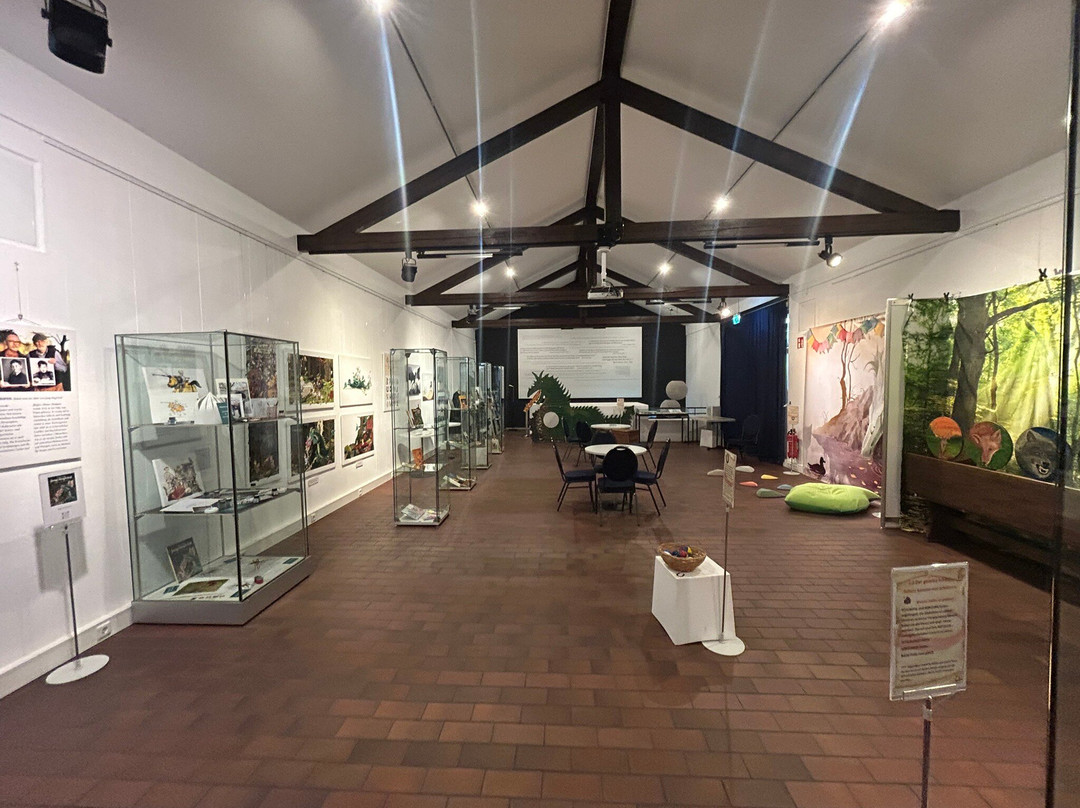 Siegfriedmuseum Xanten-克桑滕必去景点