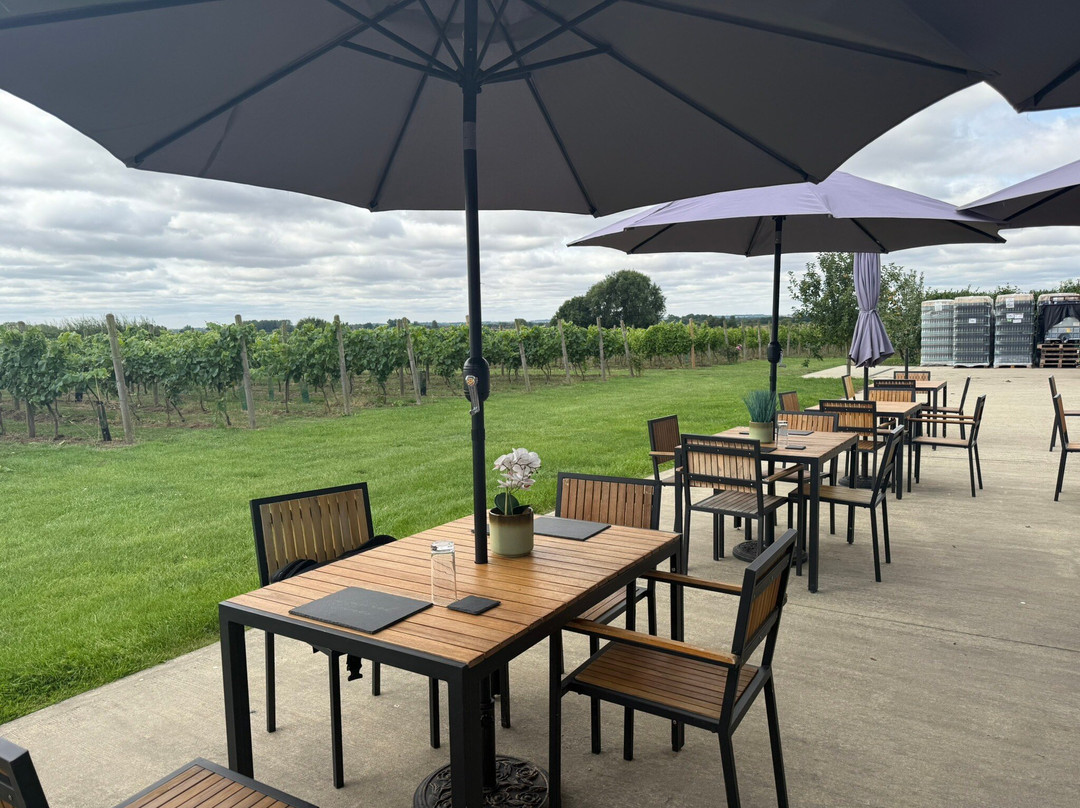 Laurel Vines Vineyard And Winery-Driffield必去景点