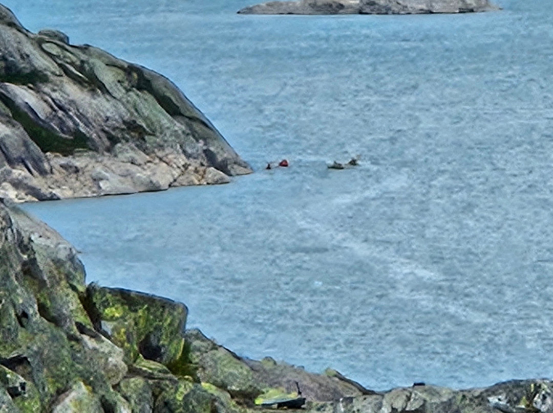 Folgefonni Breforarlag-Jondal必去景点