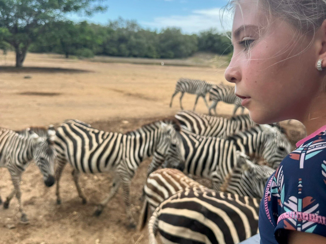 Legend Costa Rica-圣何塞必去景点
