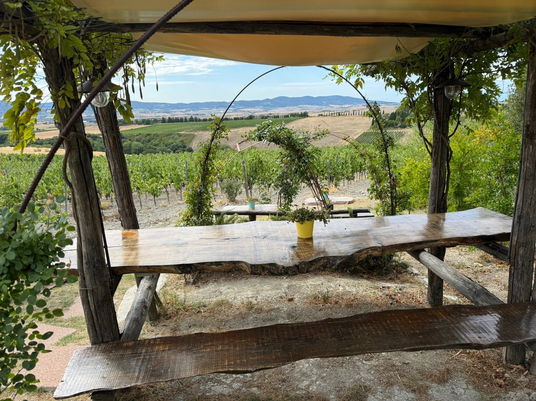 Gianni Moscardini Winery-Pomaia必去景点