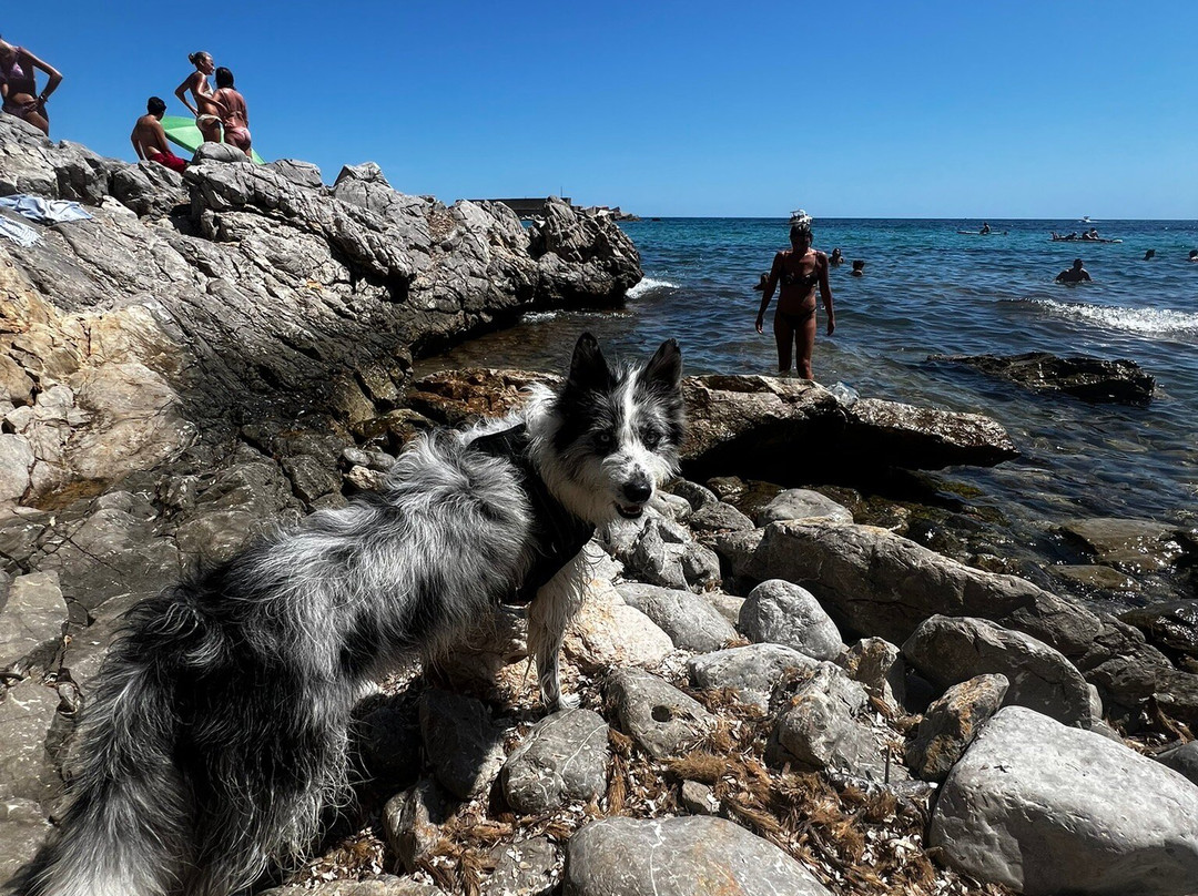 Riserva Naturale Orientata Di Capo Gallo-巴勒莫必去景点