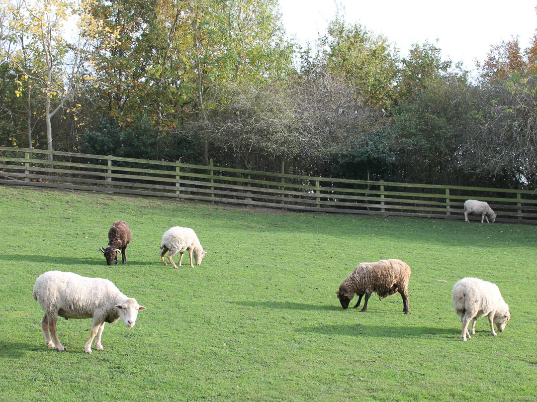 Jarrow Hall Anglo-Saxon Farm, Village and Bede Museum-Jarrow必去景点