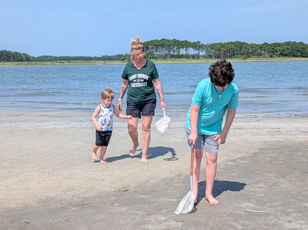 Assateague Adventure-大洋城必去景点