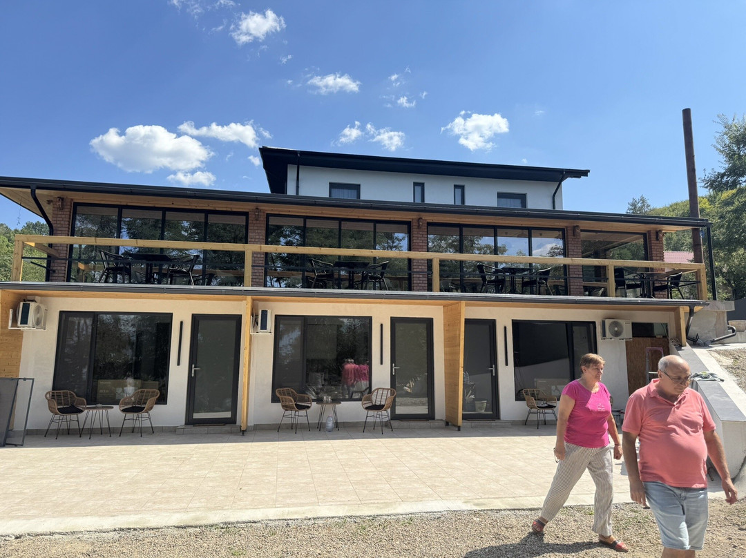 Buzau County餐馆和美食-Belvedere Magura