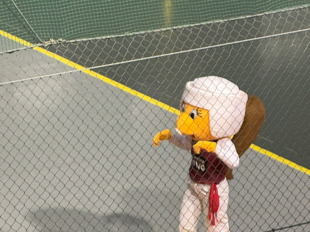 International Cesta Punta St. Jean de Luz-圣尚德路斯必去景点