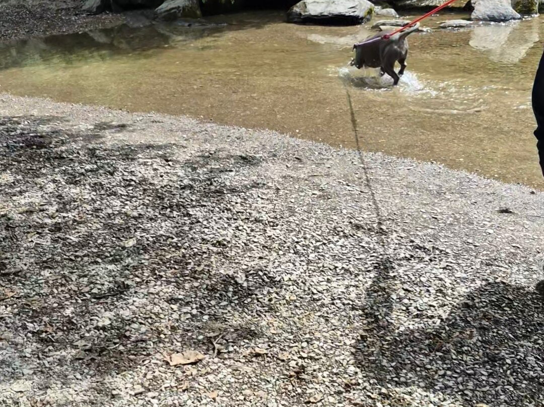 Tarr Steps-Dulverton必去景点