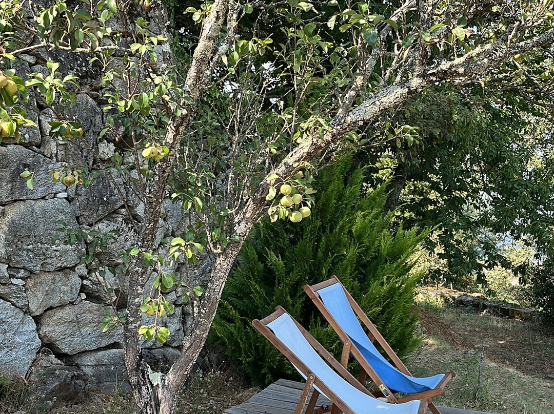 Paço de Vilharigues主图