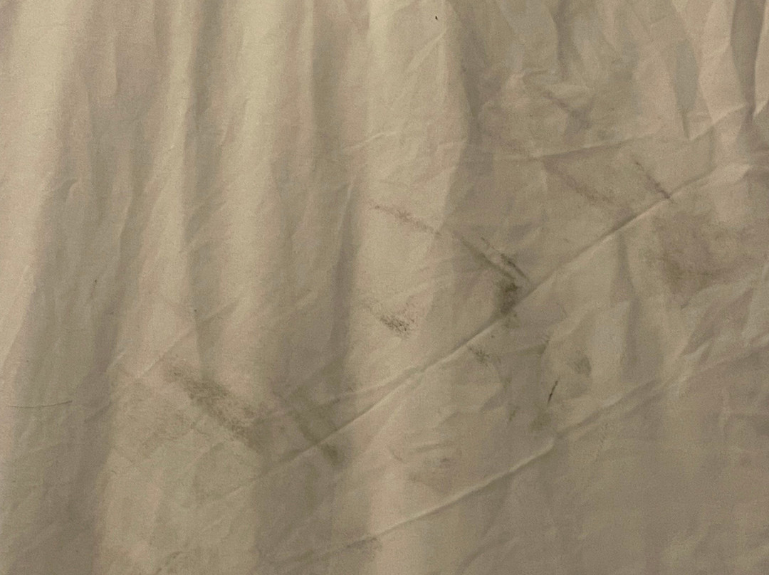 Quality Inn and Conference Center主图