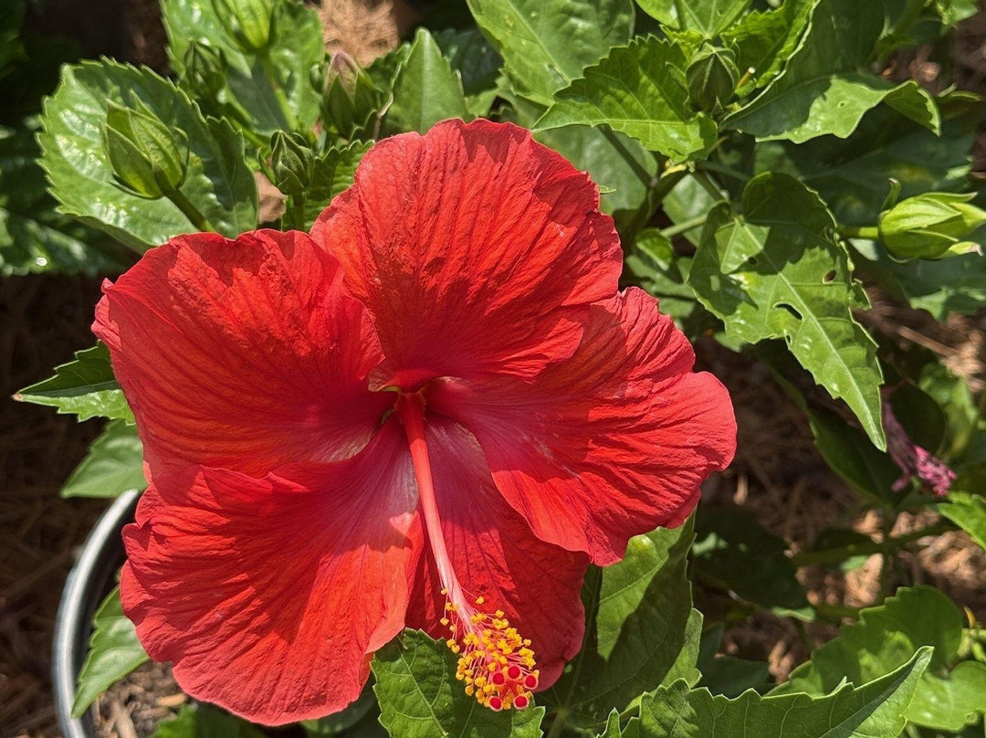 Clay Garden & Gifts Llc-Seagrove Beach必去景点