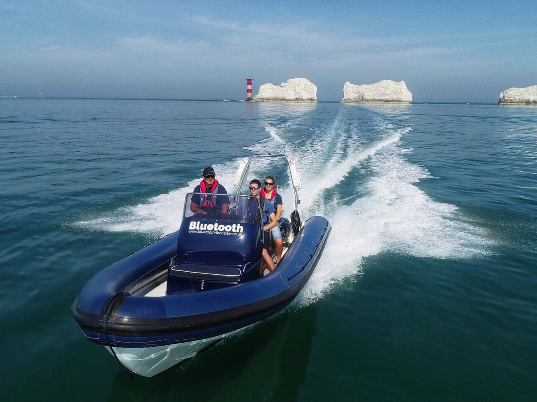 Bluetooth RIB Charter-Hamble必去景点