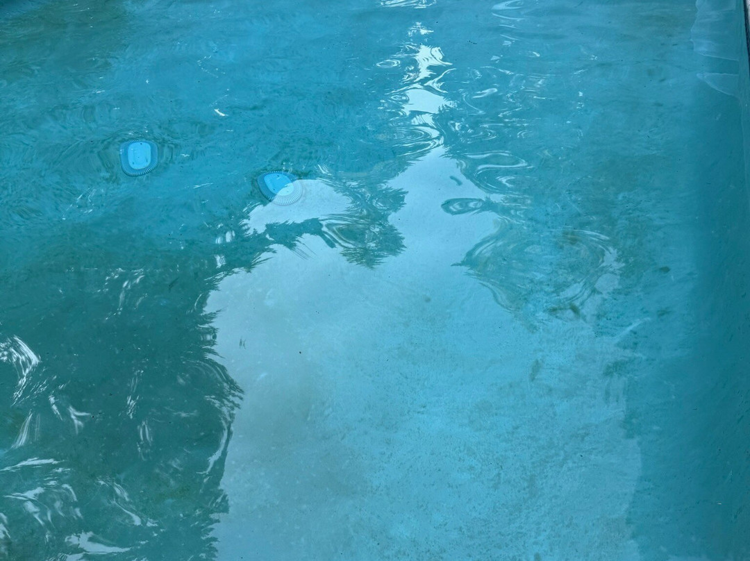 LOGE Alta Crystal主图