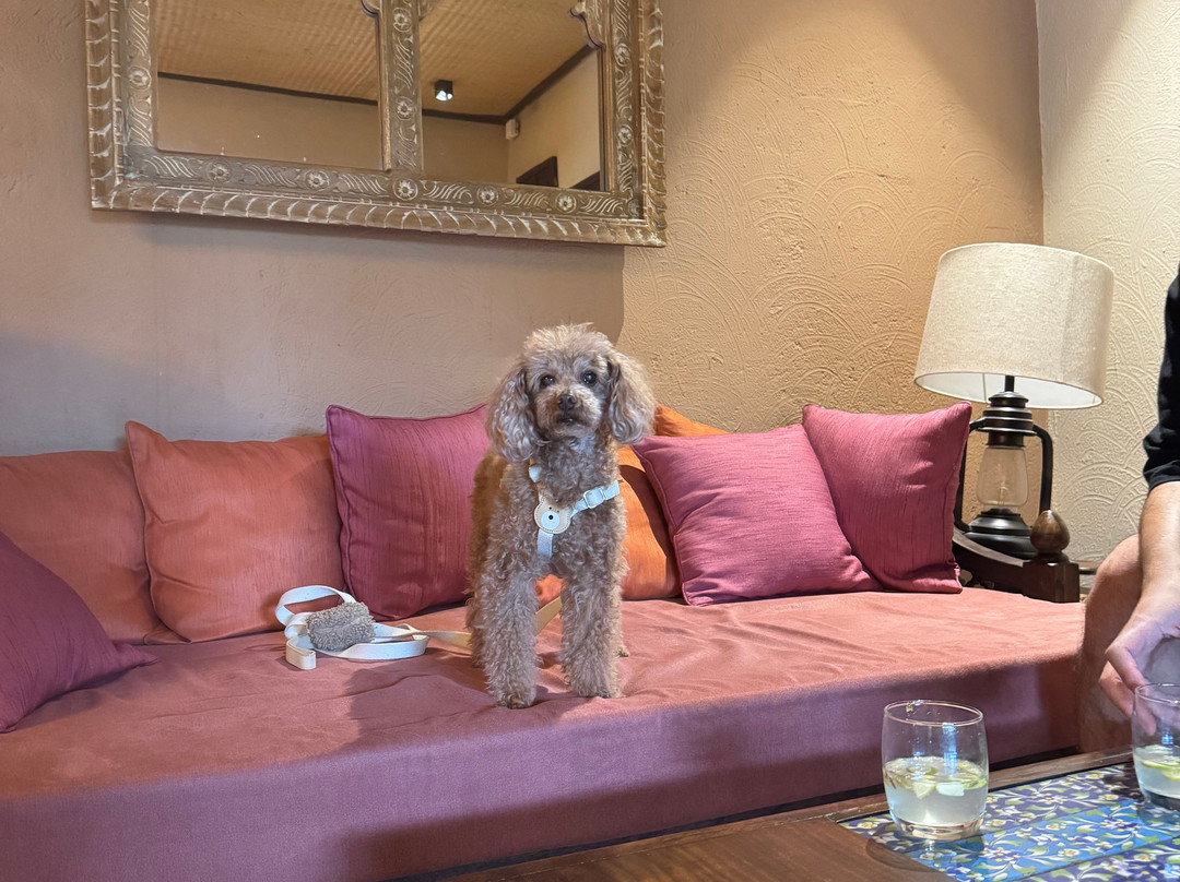 Brij Bageecha Jaipur - Private Villas With Plunge Pool主图