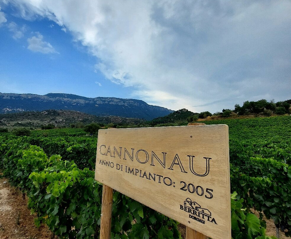 Wine Tasting Berritta-Dorgali必去景点