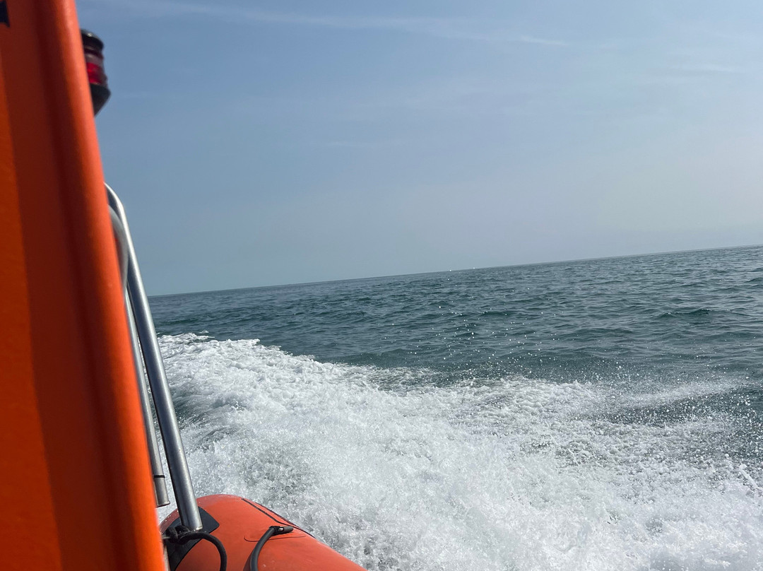 Saundersfoot Sea Safari-桑德斯富特必去景点
