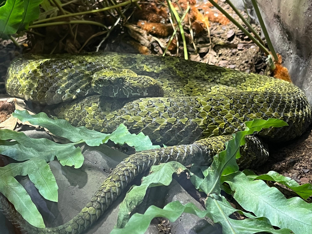 AQUATIS Aquarium Vivarium Lausanne-洛桑必去景点