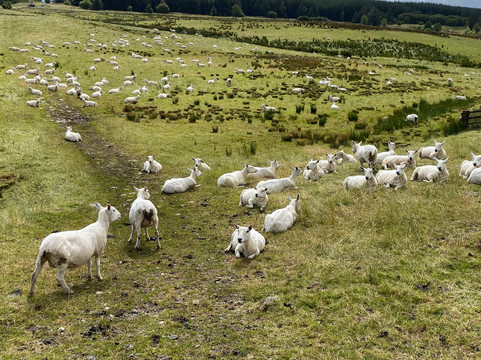 Kirkstone Mountain Pass-大湖区必去景点