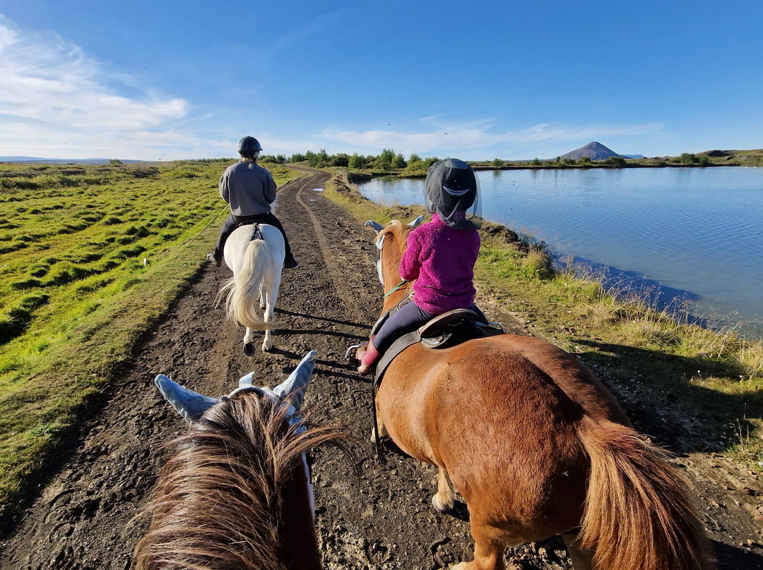 Safari Horse Rental-米湖必去景点