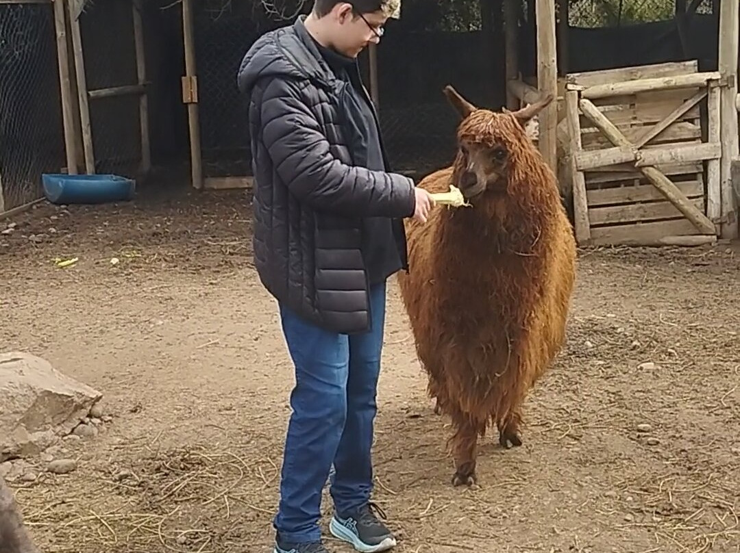 Huellitas por un sueño-Isla de Maipo必去景点