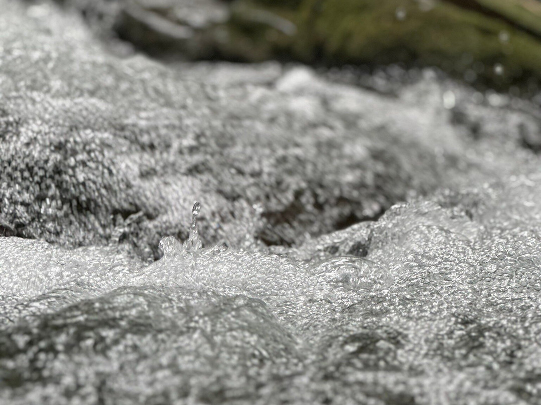 Seven Tubs Recreation Area-威尔克斯-巴里必去景点