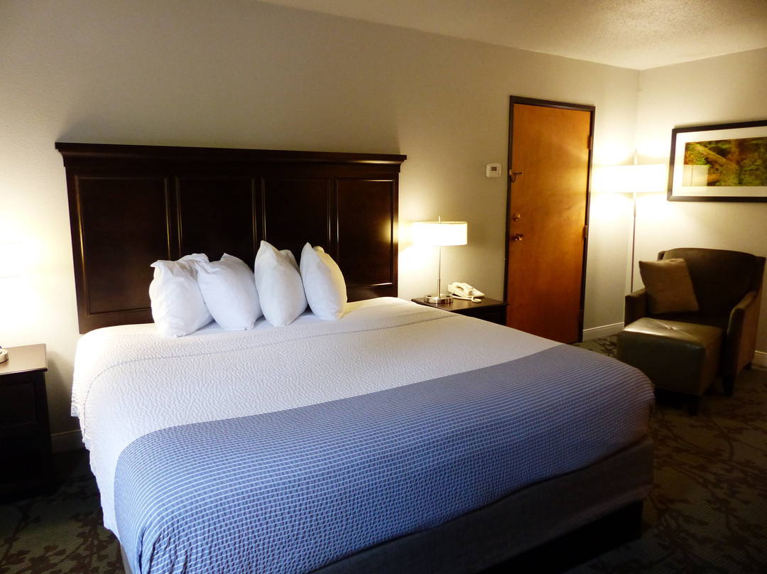 Best Western Black Hills Lodge主图