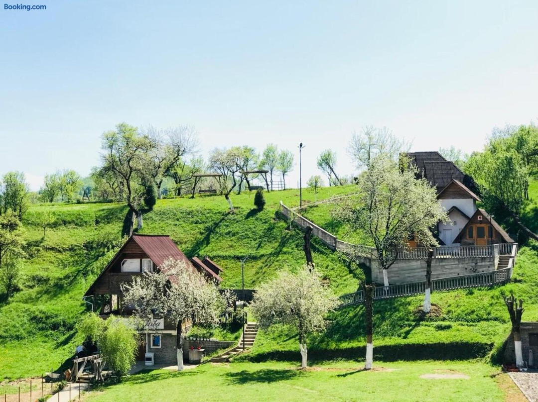 Pensiunea Domnita