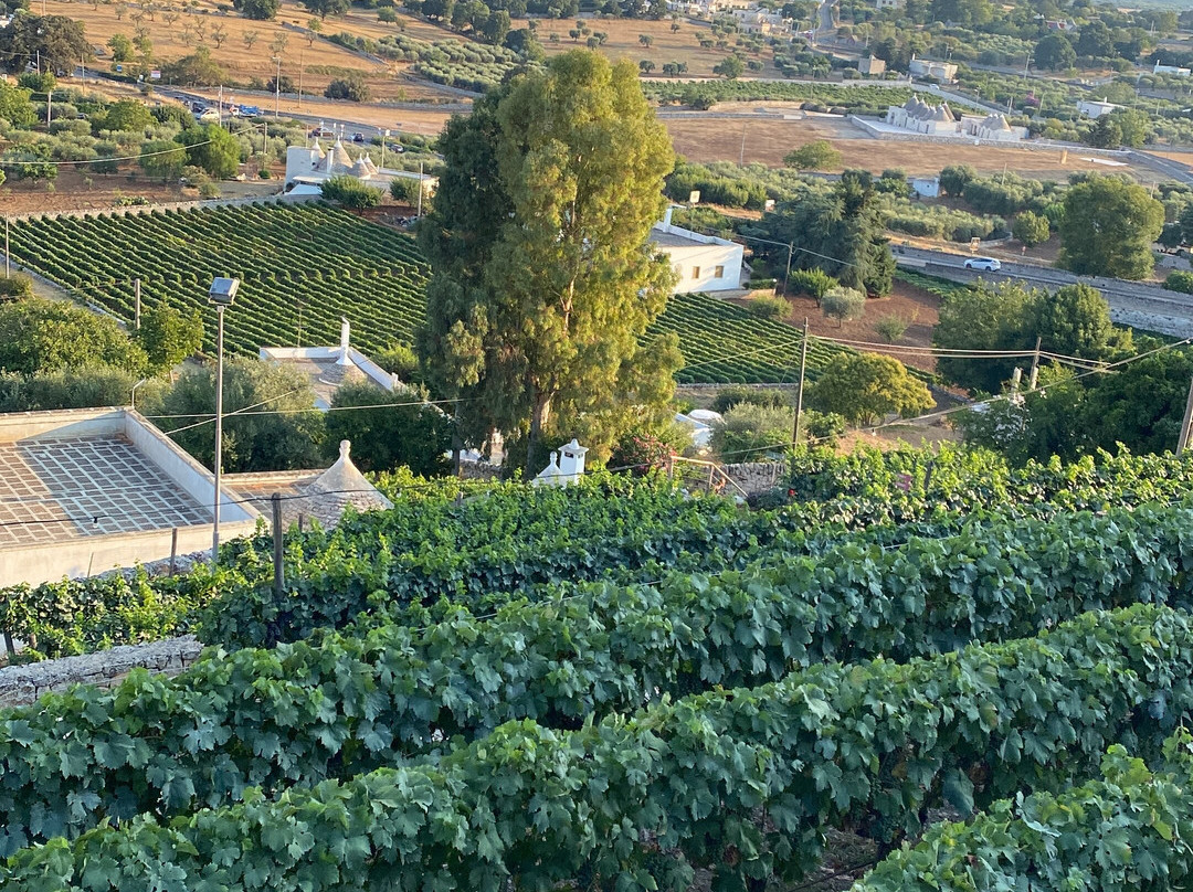 1783 Dimora D'epoca主图