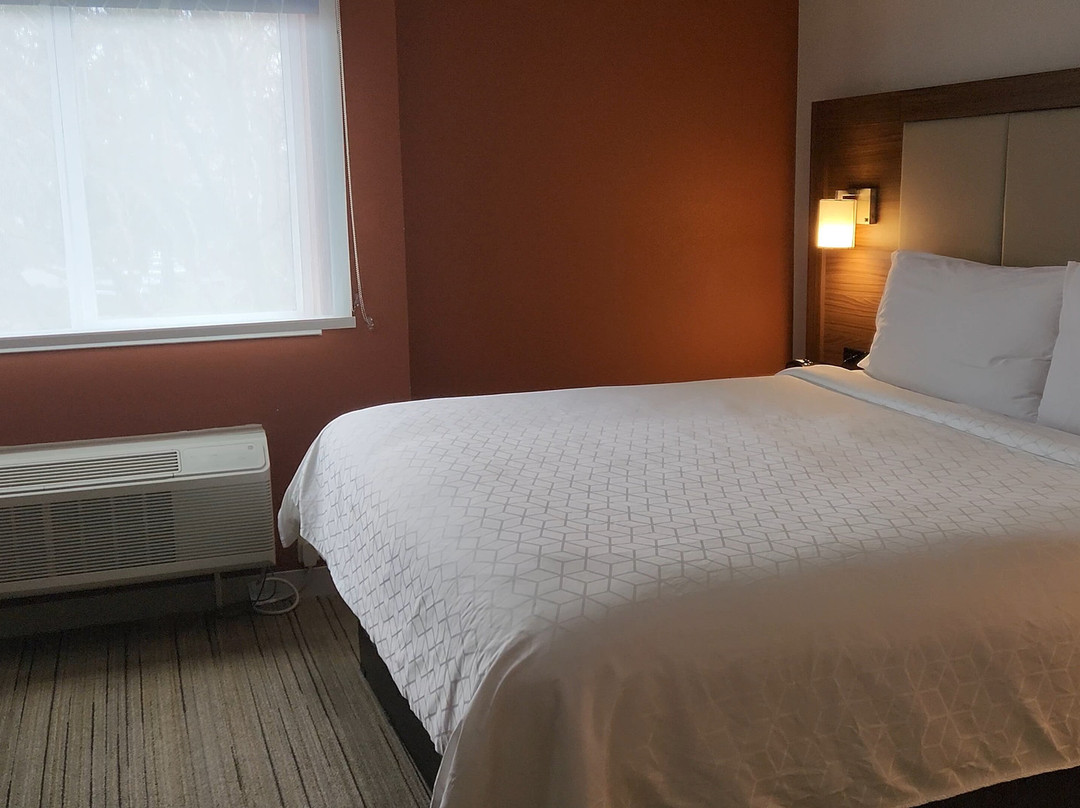 Holiday Inn Express & Suites Seattle-Sea-Tac Airport by IHG主图