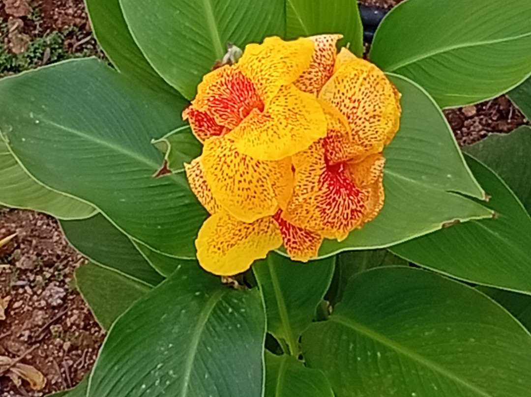 Akrogiali Hotel主图