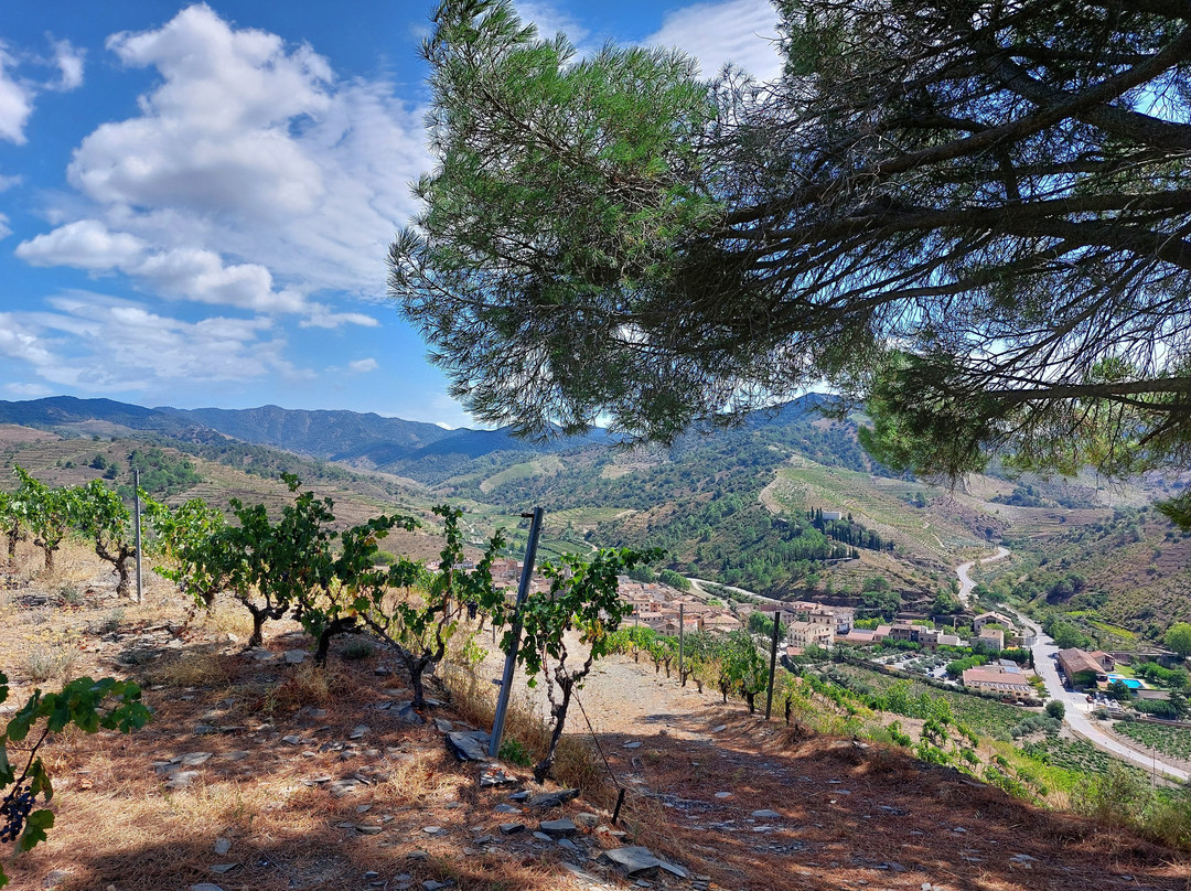 ALVAREZ DURAN PRIORAT-Porrera必去景点