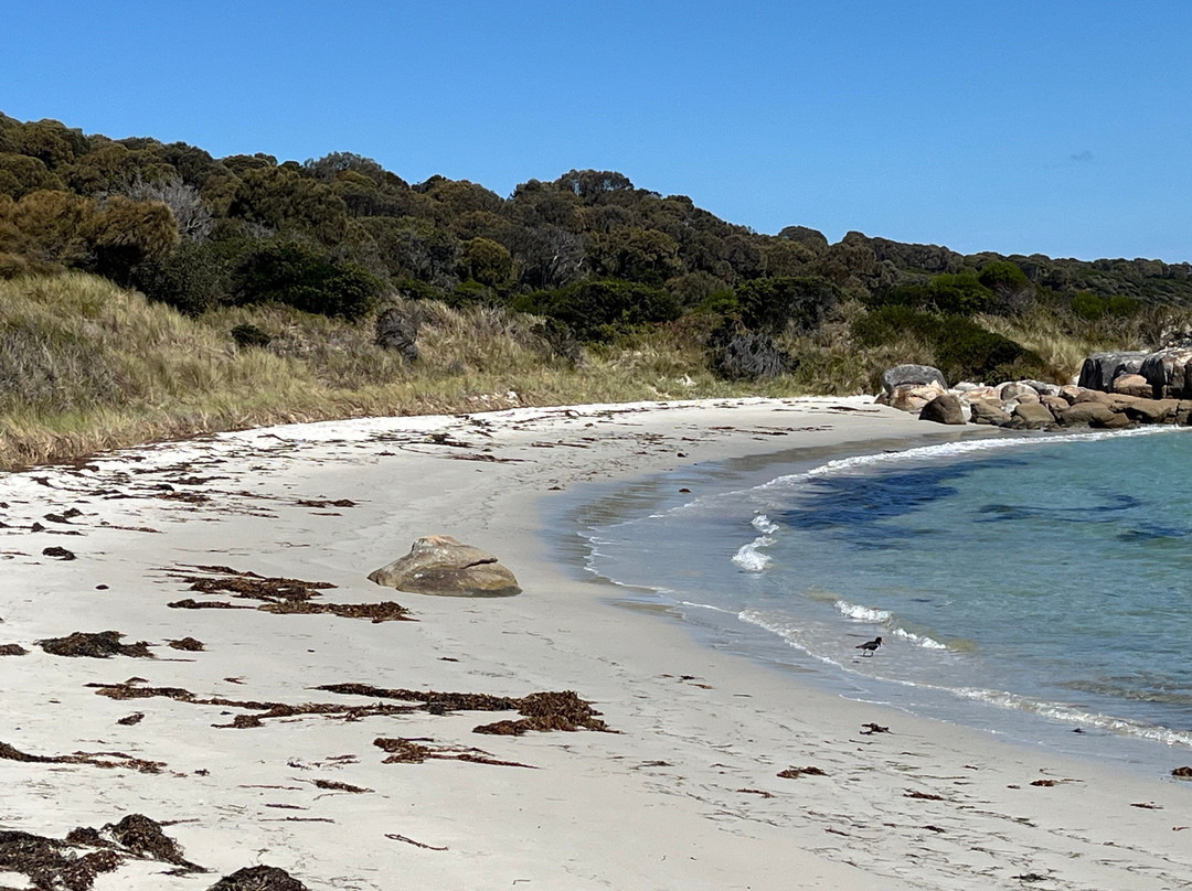 St Helens Point Conservation Area-圣海伦火山必去景点