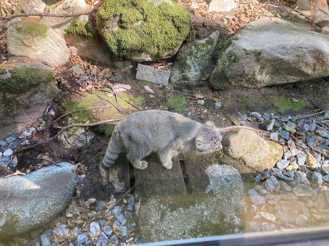 Nordens Ark-Hunnebostrand必去景点