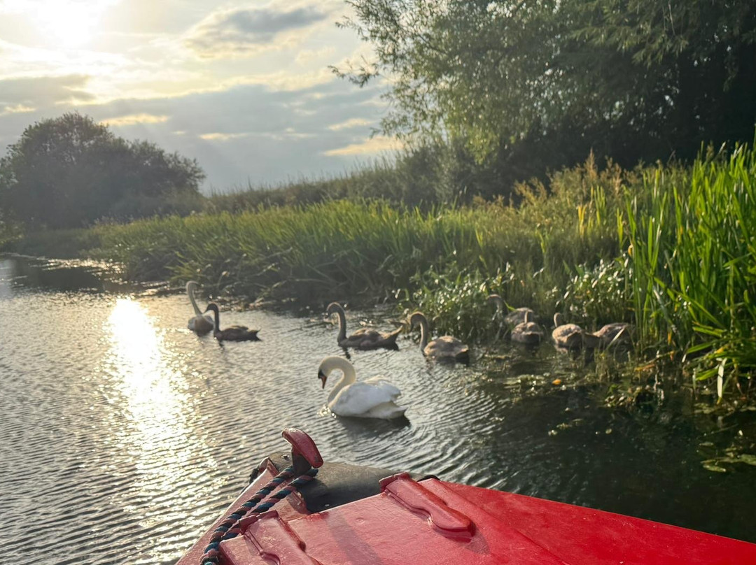 Grantham Canal Three Shires Boat Trips-Woolsthorpe by Belvoir必去景点