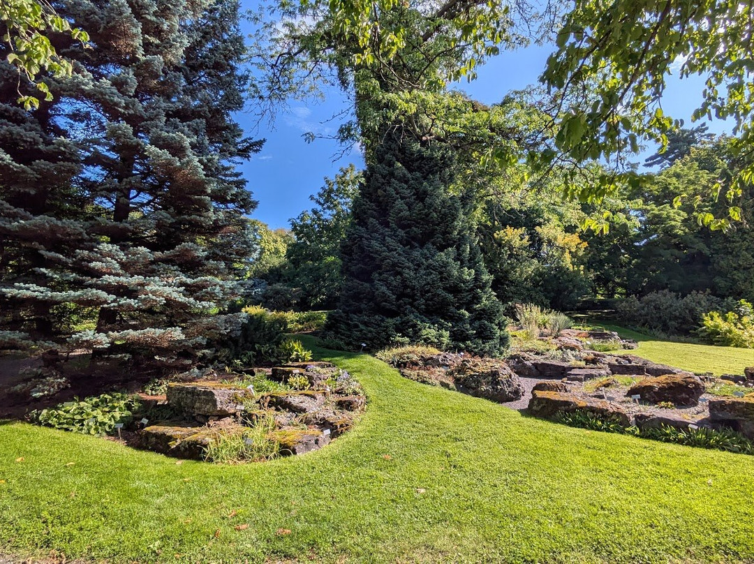 Botanical Garden-奥斯陆必去景点