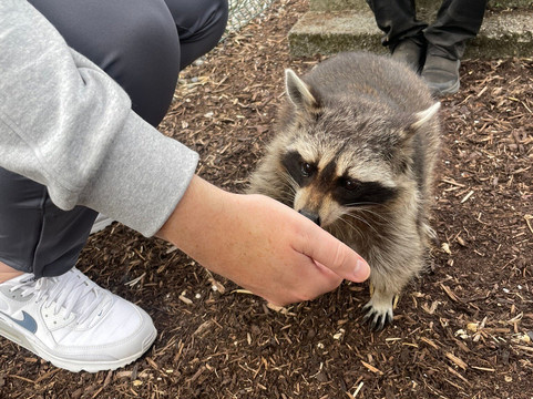 Wells House & Gardens-Gorey必去景点