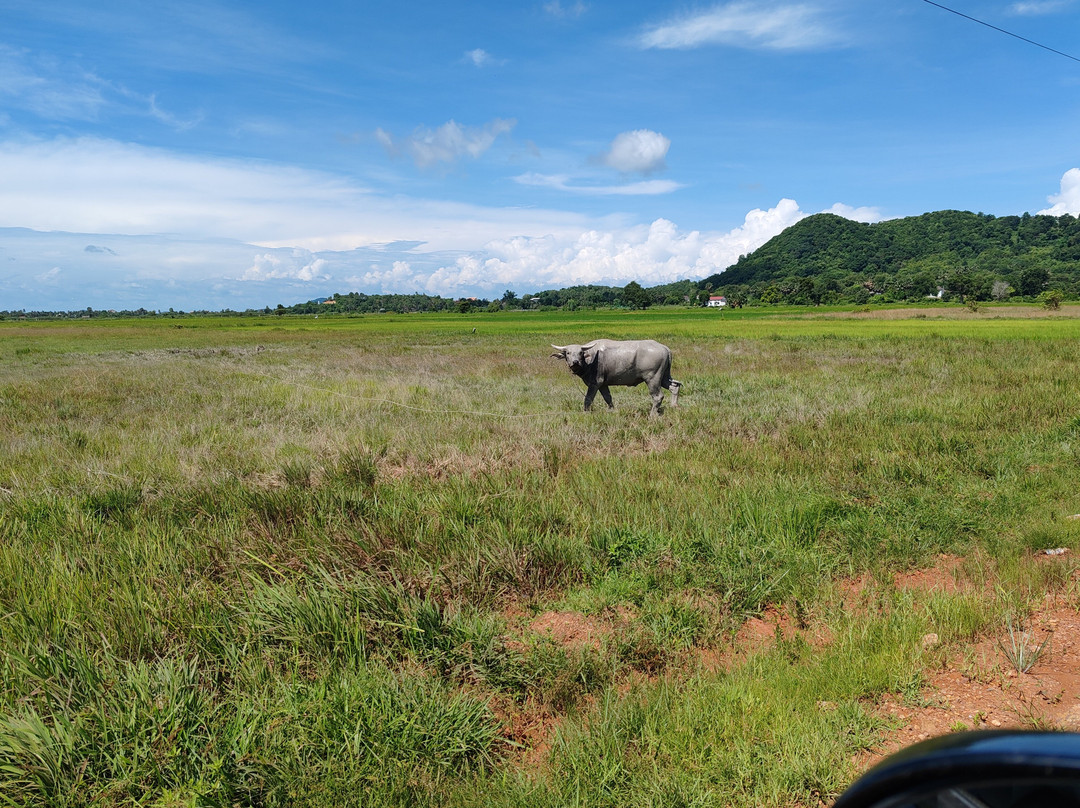 Vakara Hotel Kep主图