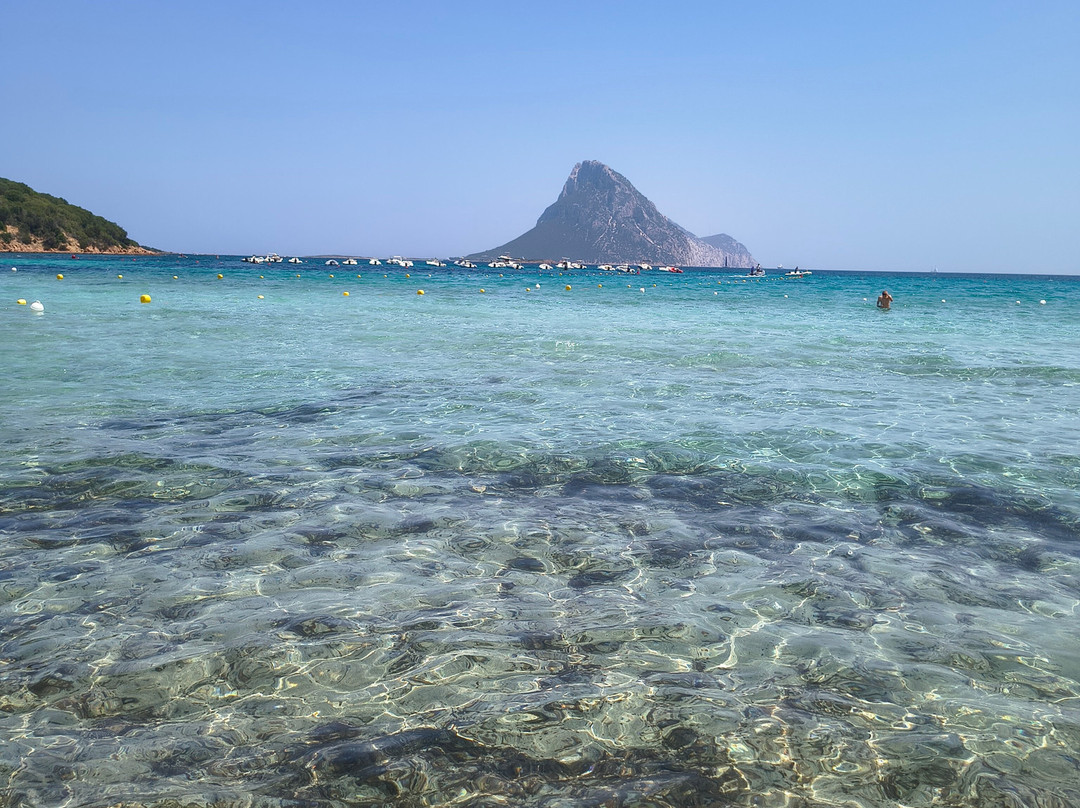 Spiaggia La Cinta-San Teodoro必去景点