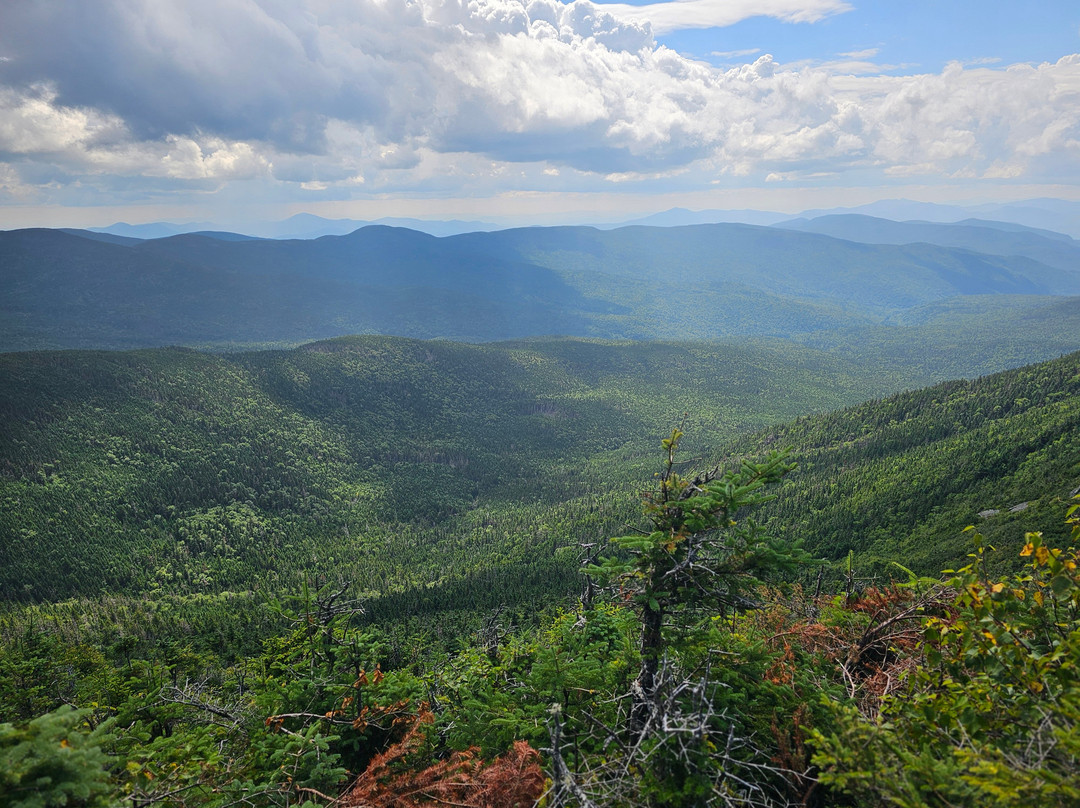 The Wildland Trekking-阿什维尔必去景点