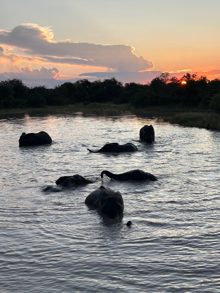 Africa On Foot Camp-浴室