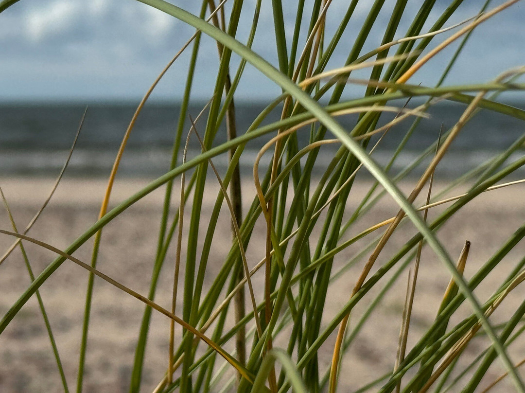 Ventspils Beach-Ventspils必去景点