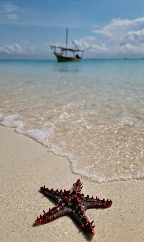 Zanzibar Taxis And Tours-桑给巴尔岛必去景点