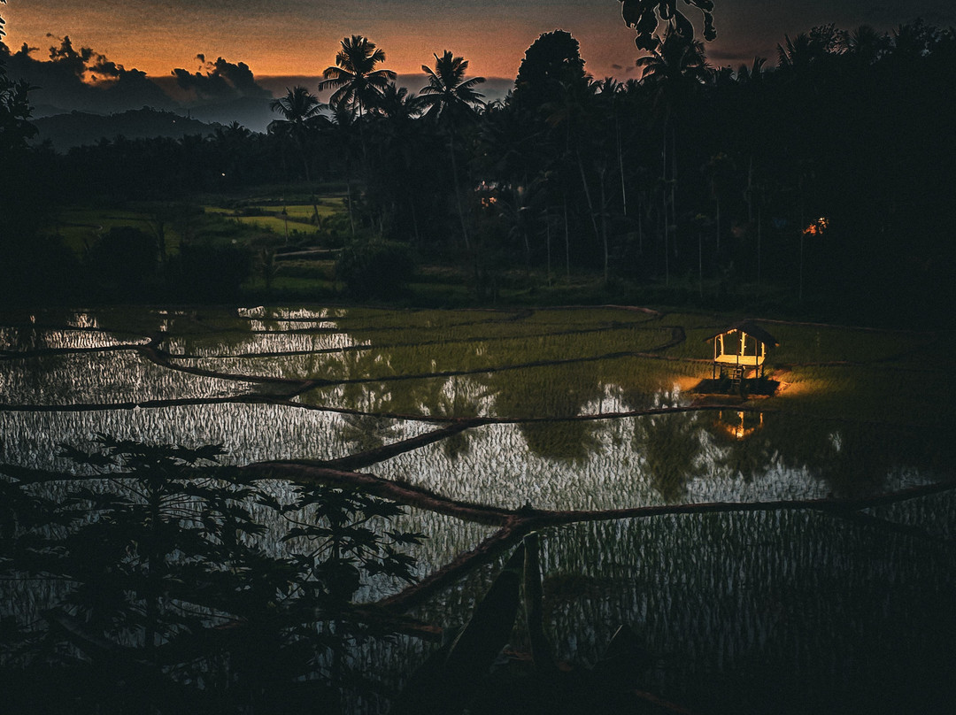 Crystal Kuruva Nature Resort & Spa主图