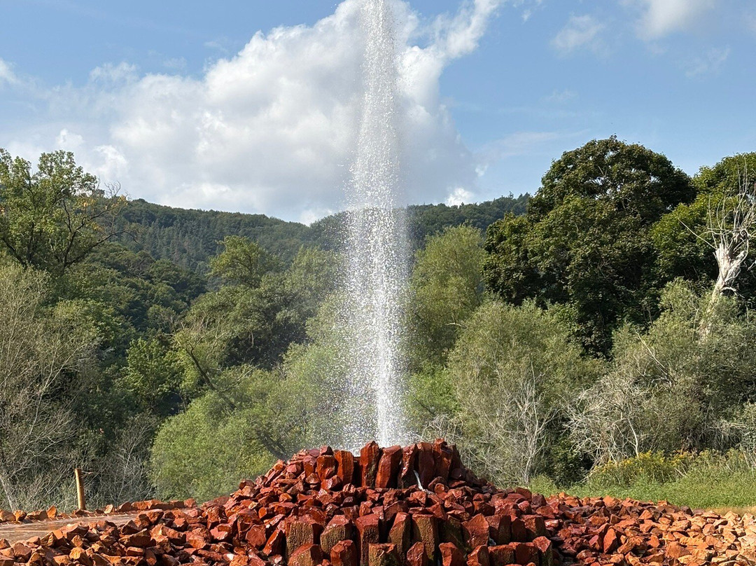 Geysir Andernach-安德纳赫必去景点