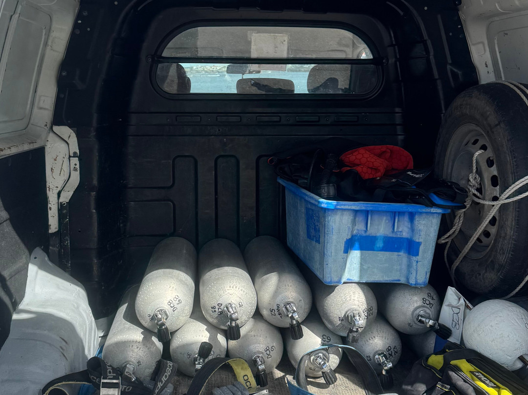 Dive Centre Bondi-邦迪必去景点