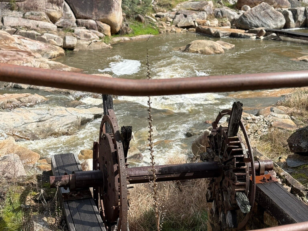 Adelong Falls Gold Mill Ruins-Adelong必去景点