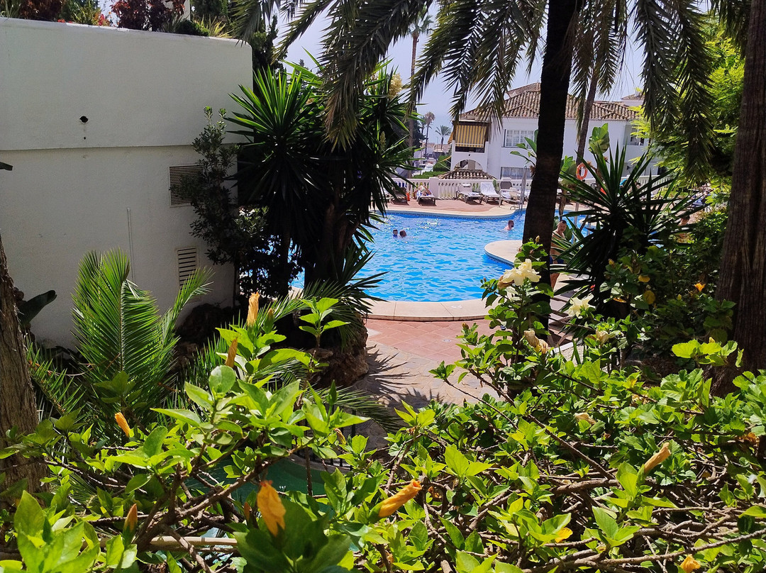 Royal Oasis Club At Pueblo Quinta主图