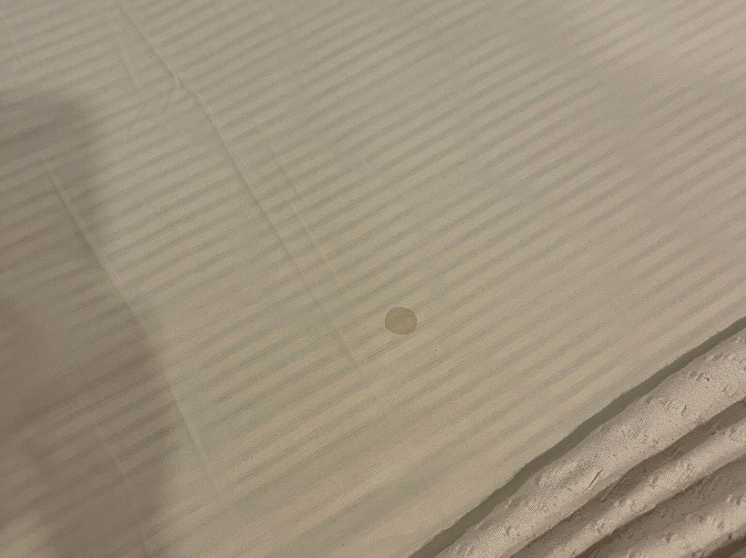 Hotel Sree Gokulam Sabari主图
